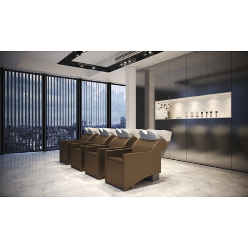 Мойка парикмахерская "WASHLOUNGE JUBILEE E"